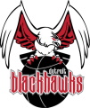 Detroit Blackhawks logo