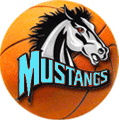 Douglasville Mustangs logo