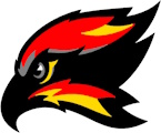 Columbus Skyhawks logo