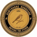 Hawthorne Hurricane logo
