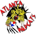 Atlanta Wildcats logo