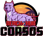 Beach Hub Corsos logo