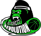Everett Evolution logo