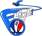 Fayette Flight logo