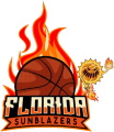 Florida Sunblazers logo