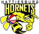 Hattiesburg Hornets logo