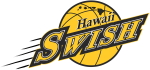 Hawaii Swish logo