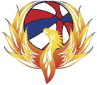 Motor City Firebirds logo