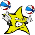 NEPA Stars and Stripes logo