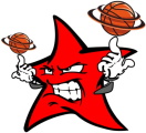 NEPA Stars and Stripes logo