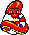 New Mexico Bullsnakes logo