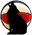 North Carolina Coyotes logo