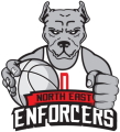 North East Enforcers logo