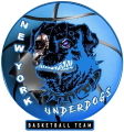 New York Harlem Underdogs logo