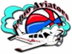 Ohio Aviators logo