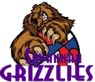 Savannah Grizzlies logo