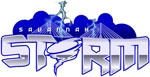 Savannah Storm logo