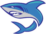 Snow Hill Skyfish logo