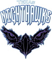 Texas Nighthawks logo