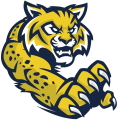 Virginia Wildcats logo