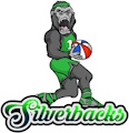 Mississippi Silverbacks logo