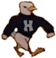 Houston Seagulls logo