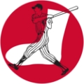 Columbus White Sox logo