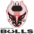 Birmingham Bulls logo