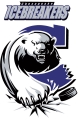 Chesapeake Icebreakers logo