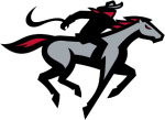 Tampa Bay Bandits logo