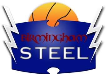 Birmingham Steel logo