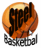 Birmingham Steel logo