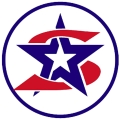 NEPA Stars and Stripes logo