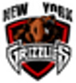 New York Grizzlies logo
