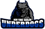 New York Harlem Underdogs logo