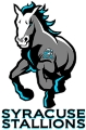 Syracuse Stallions logo