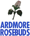 Ardmore Rosebuds logo
