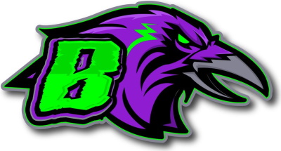 Birmingham Ravens logo