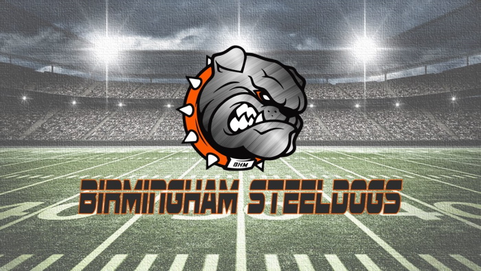 Birmingham Steeldawgs logo
