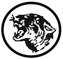 Fort Worth Panthers logo