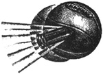 Baltimore Bullets logo