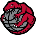 Chicago Raptors logo