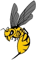 Columbus Hornets logo