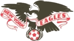New York Eagles logo