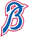 Richmond Braves logo