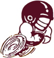 Seattle Express logo